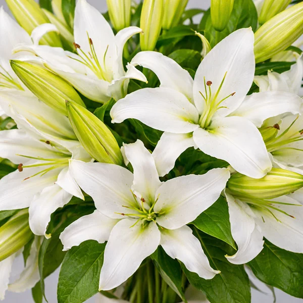 Букет из лилий